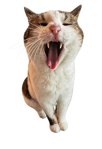 Frilagd gäspande Edgar