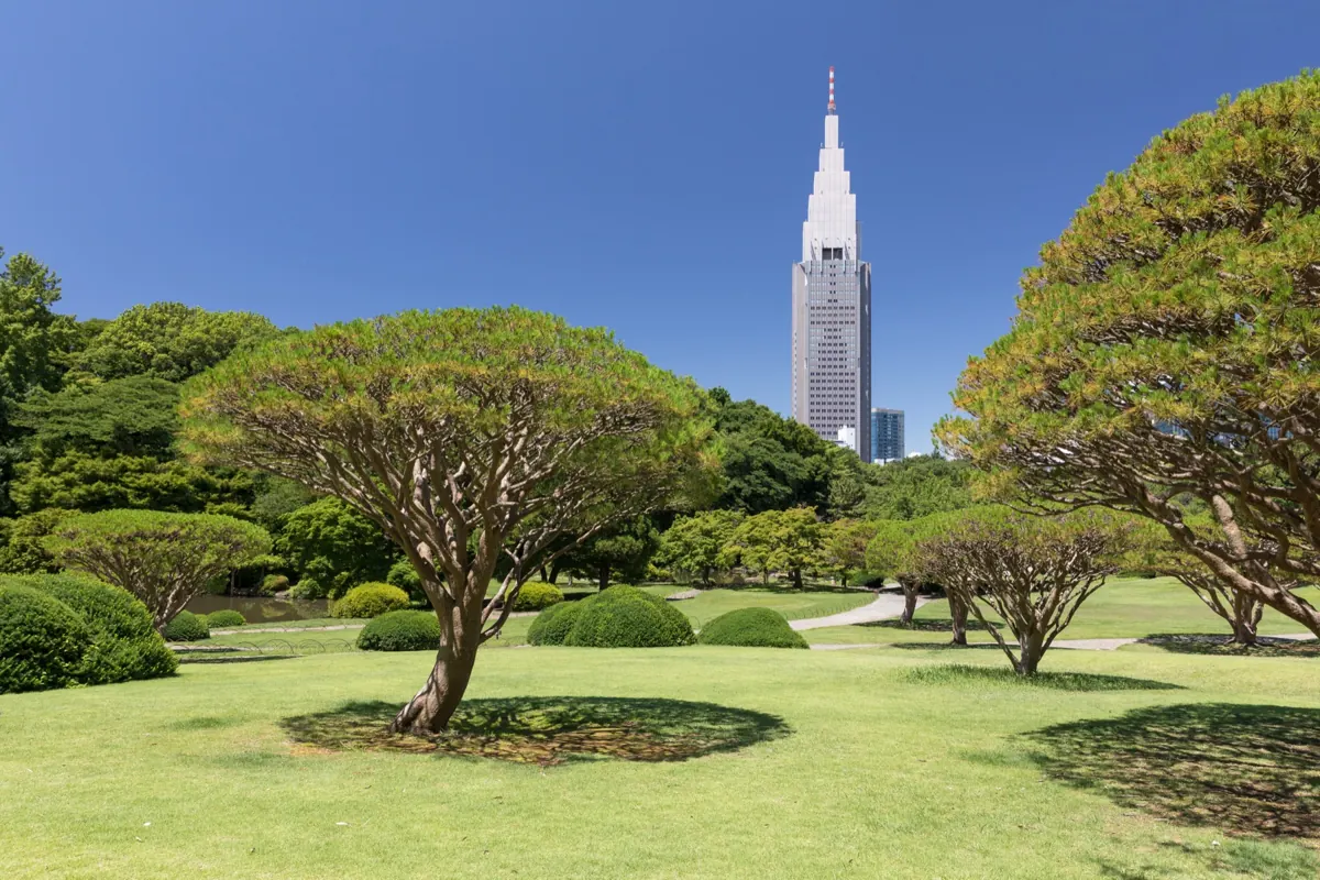 Shinjuku Gyoen med Tokyo skyline