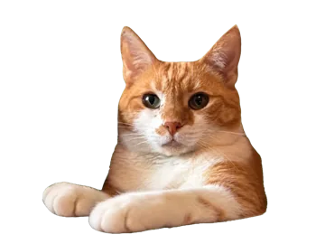 Frilagd Esmeralda
